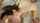 threesome group brunette