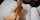 doggy pov blonde