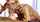 blonde glasses teen