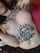 dark hair tattoo hot