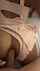 brunette anal sex