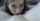 lesbian lesbian pov pussy licking