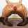 ass feet pee