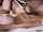 cheating krissy lynn babysitter