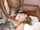 cuckold interracial wife