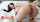 chaturbate pornhub camgirl