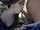 blowjob amateur camgirl