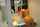 bangbros 18bangbros brunette