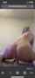riding cowgirl on dildo hot blonde