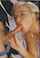 blond babe blow job
