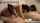orgy massive orgy beauty