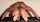 bigass bigbutt hard anal