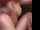 cuckold amateur squirt