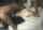 japan japanese jav
