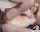 tattoo interracial familystrokes