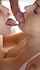 threesome blowjob licking