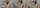 camgirl asian blonde