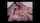 lactation masturbation webcam