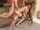 redhead double penetration gangbang