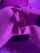bed fingering moaning