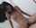 asian straddle cowgirl