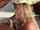 blonde blowjob bbc