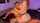 troyfranciso teen cowgirl
