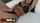 stepmom pov milf