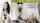 cam girl chinese corean