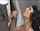 brunette blowjob handjob