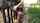 shorts stockings blowjob