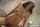 jav actress uncensored asia