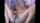 camgirl myfreecams translucent dildo