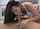 deepthroat brunette blowjob