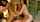 threesome brunete sexy