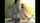 threesome amateur homemade