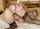 solo blonde masturbation