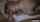 amateur threesome used