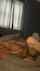 socks teen bed