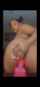 ebony dildo riding