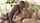 bbc interracial blonde
