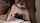 compilation interracial bbc