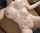 amateur model pussy