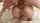 bigass bigbutt hard anal