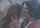 lesbian kissing lesbians