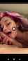 amateur blowjob teen