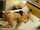 wife threesome mmf