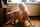 amateur model pussy