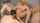 russian milf stepmom