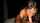 amateur sexy blowjob